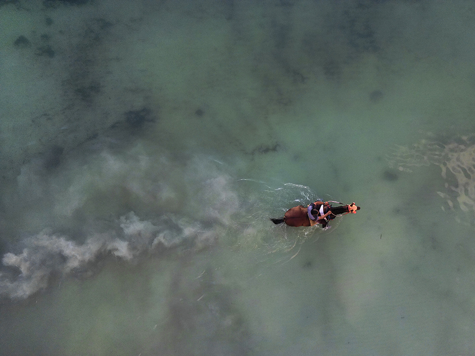 ιπποδρομίες-στην-κολομβία-562138759