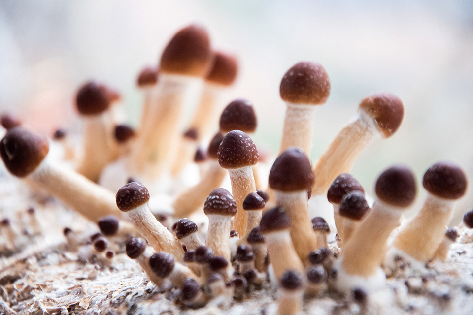 τουρισμός-με-ρίσκο-562161259