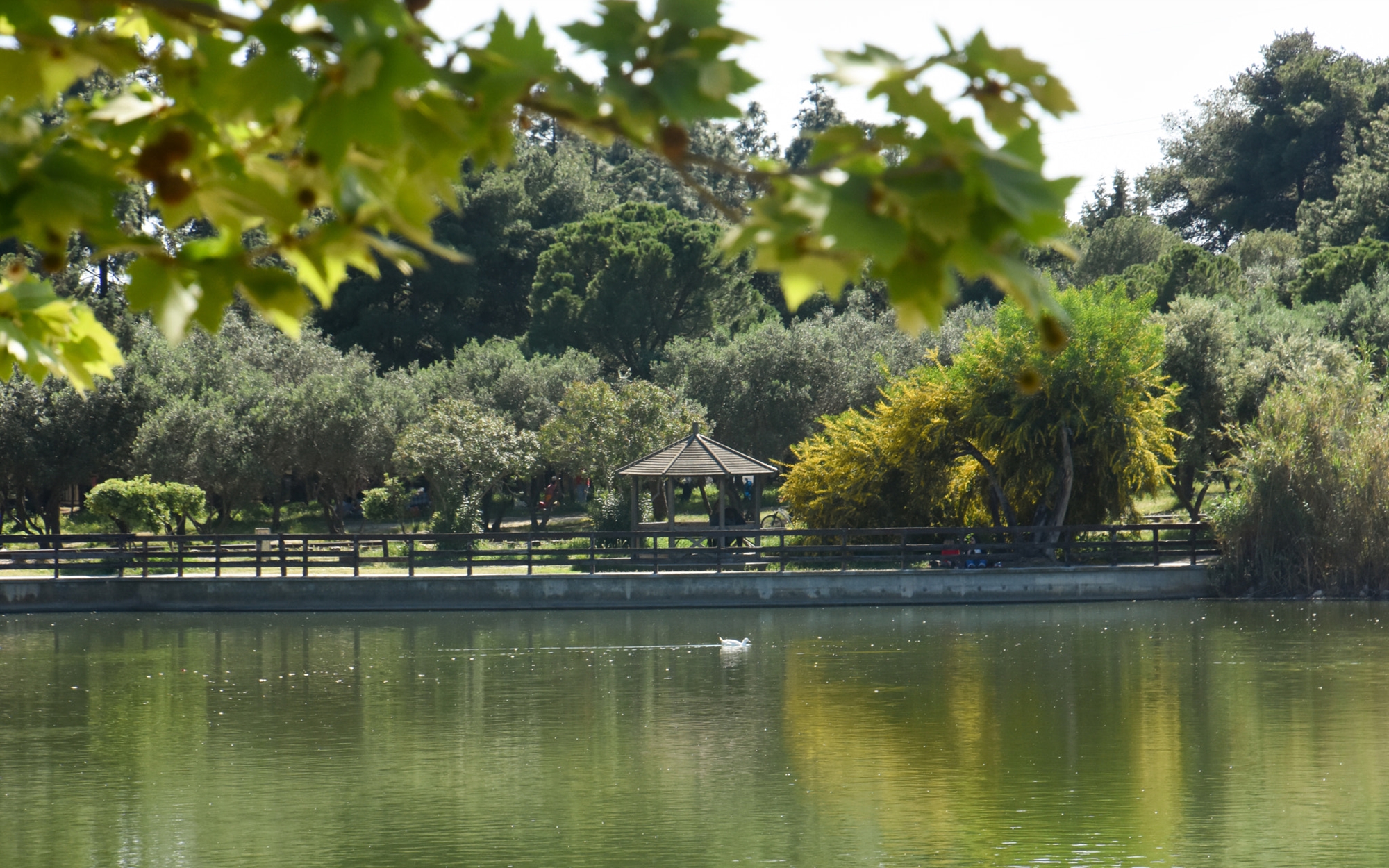 μια-έκθεση-τέχνης-αποκαλύπτει-ένα-καλ-562133191