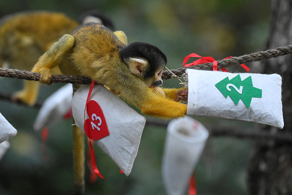 Χριστούγεννα