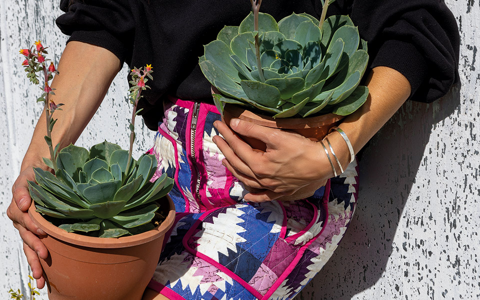 ετσεβέρια-στιβαρή-και-ιδιαίτερη-συγκ-562154626