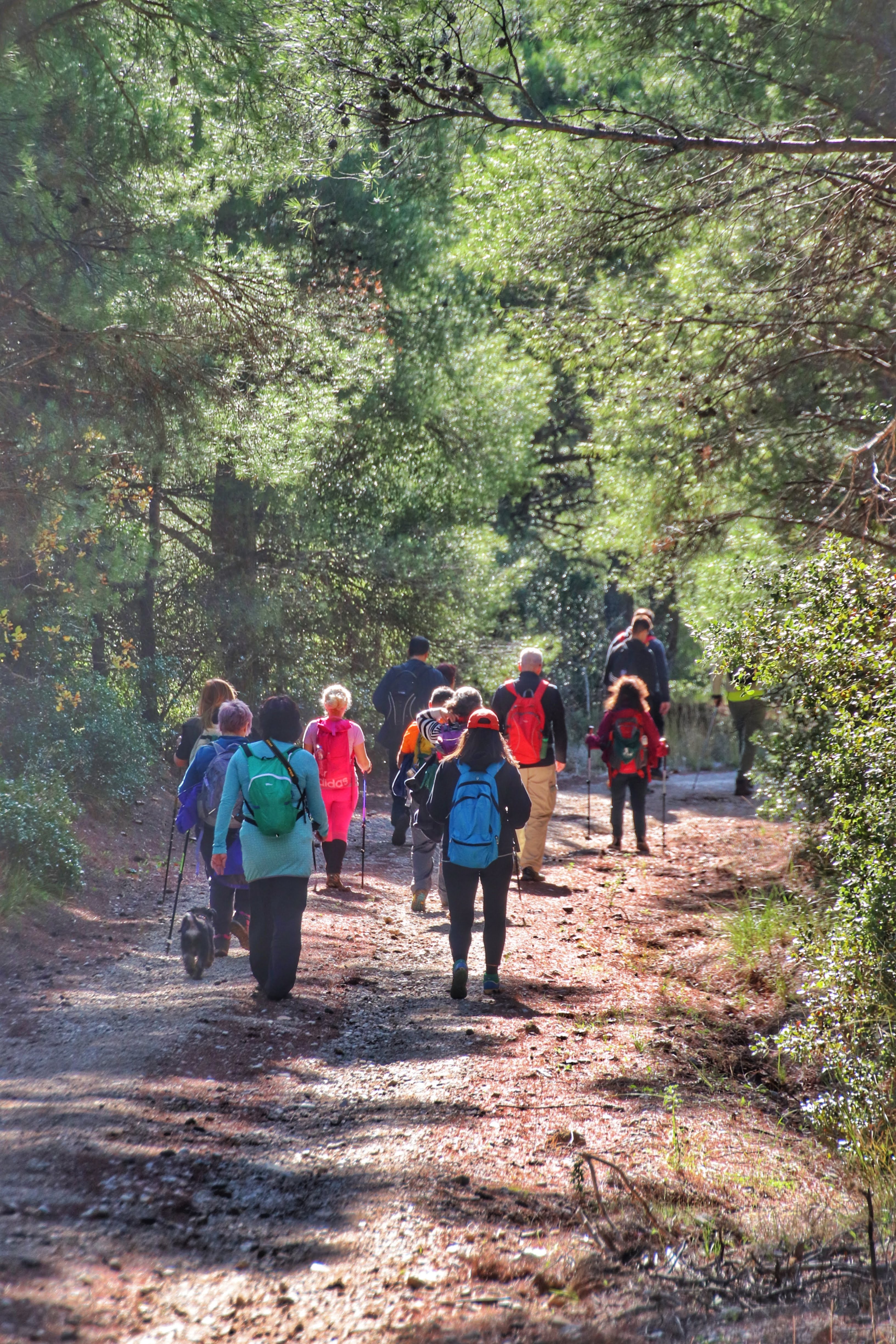 Ραντεβού στον Υμηττό για την 5η Πανελλήνια Συνάντηση Μονοπατιών-1