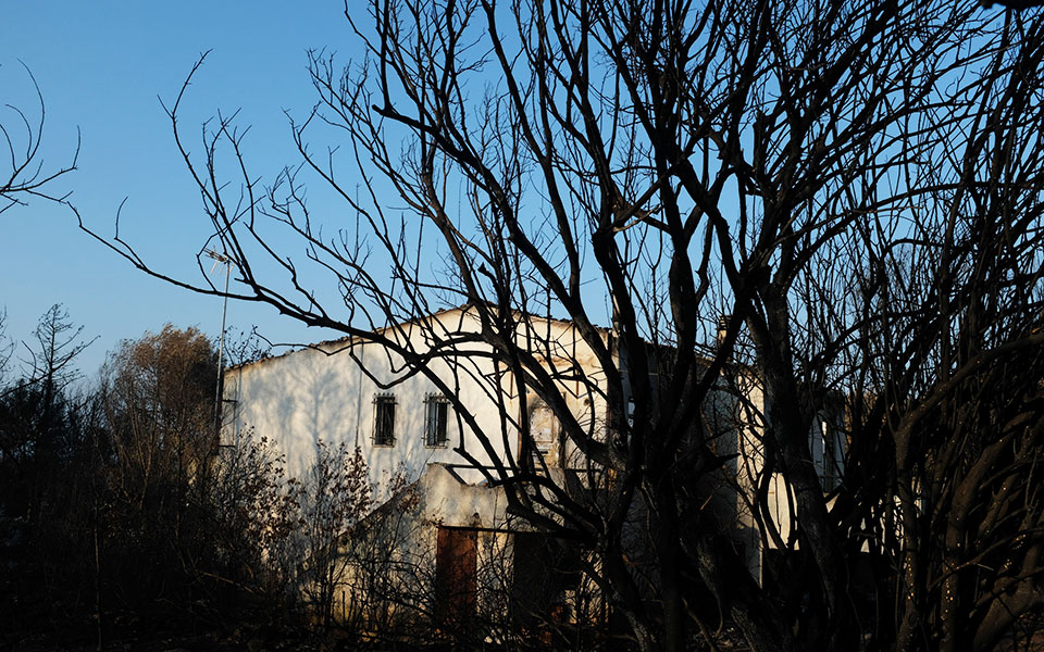 πυρκαγιά-στο-μάτι-δεν-σεβάστηκαν-ούτ-562117366