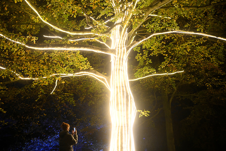 Φωτισμένη φύση