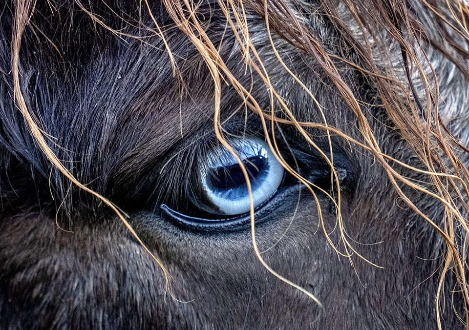 Θερμές πηγές