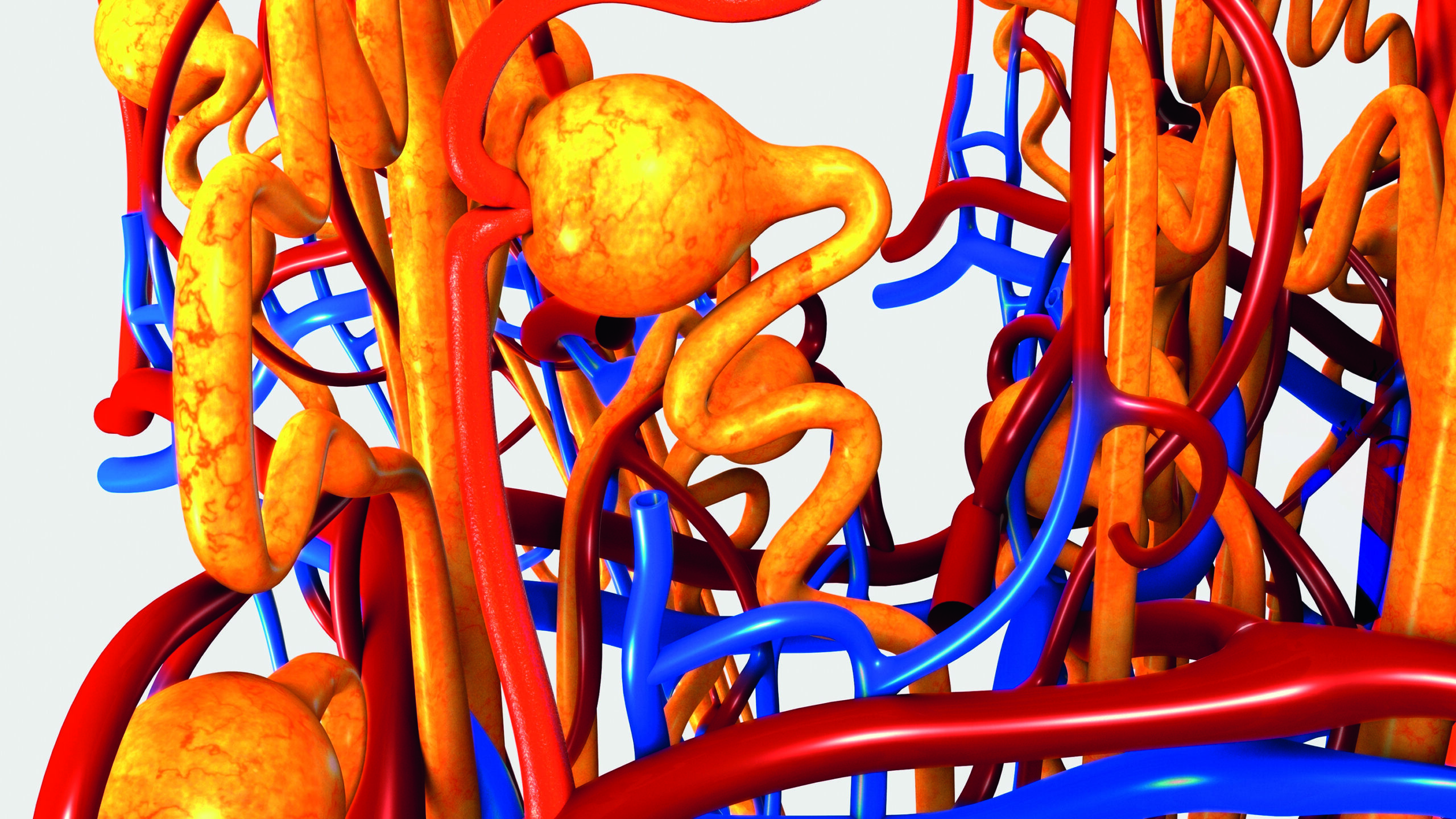 γρήγορος-οδηγός-έναρξης-για-την-υγεία-562161358