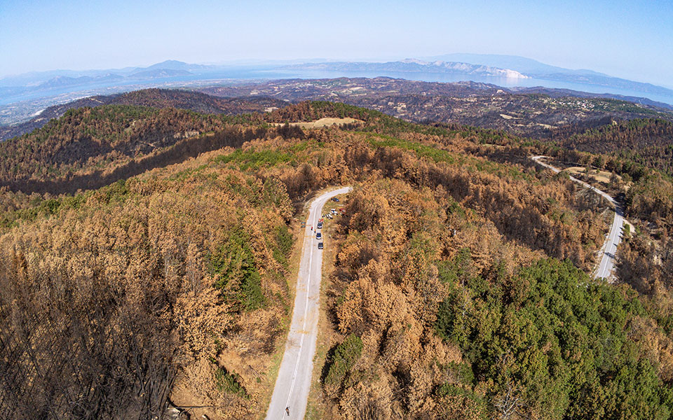 β-εύβοια-το-σχέδιο-με-τα-71-έργα-τι-περι-562118872