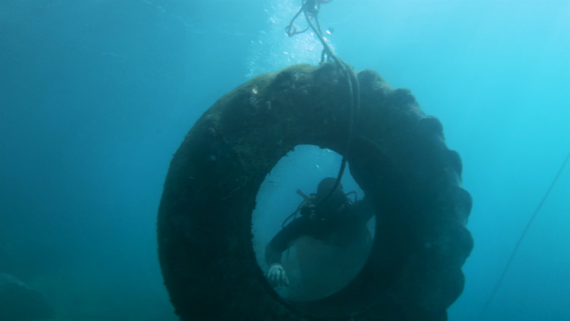 ζάκυνθος-απαγόρευσαν-σε-εθελοντές-να-562116547