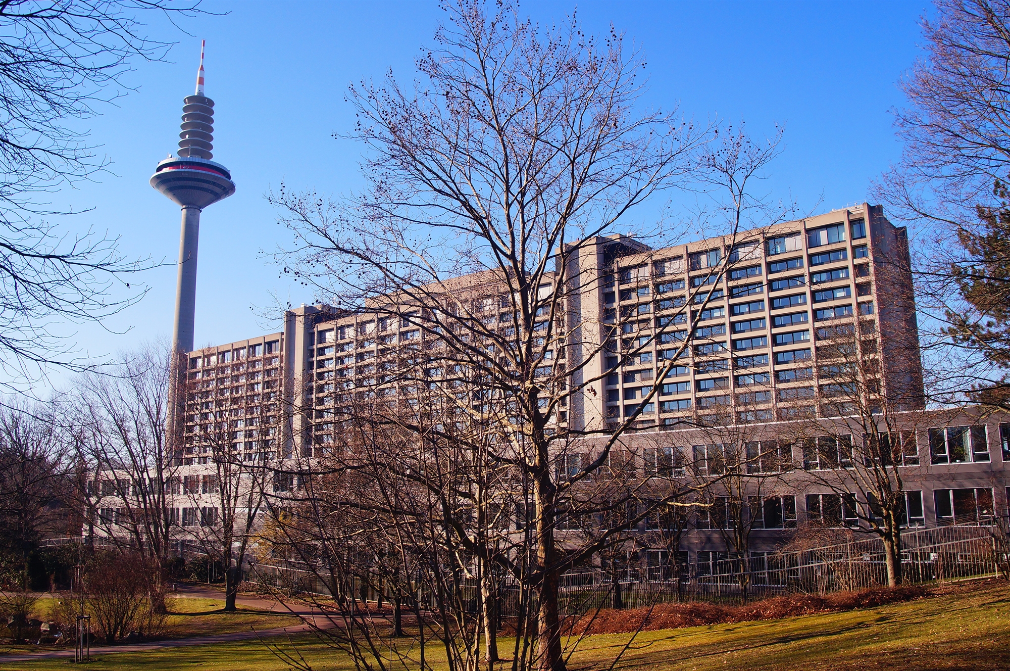 γερμανία-σενάρια-μπλακ-άουτ-και-capital-controls-562139458