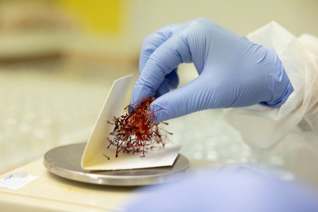 Στερεύει ο «χρυσός» της Κοζάνης-3