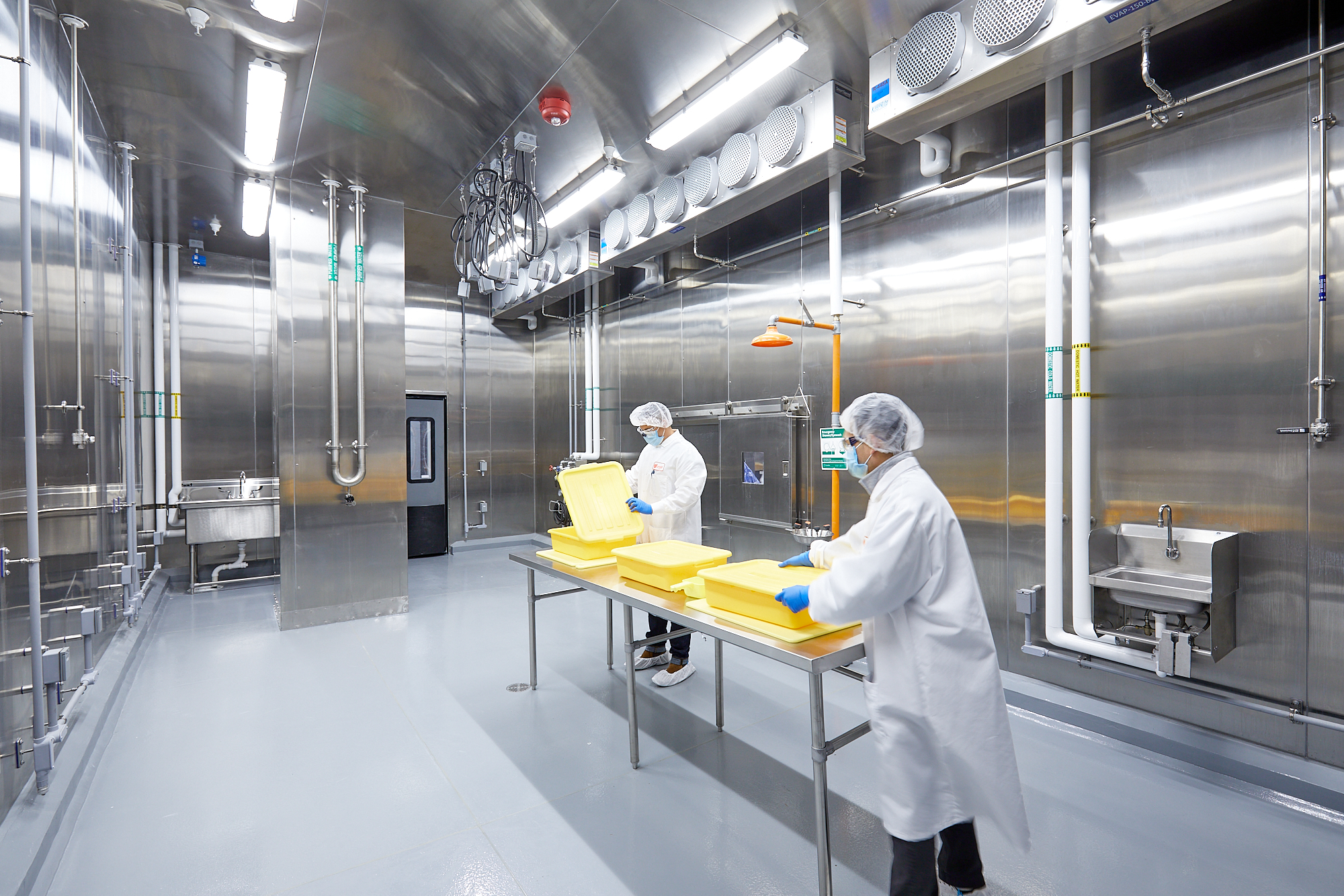 Μπορεί το συνθετικό κρέας να σώσει τον πλανήτη; – Επιστήμονες απαντούν στην «Κ»-1