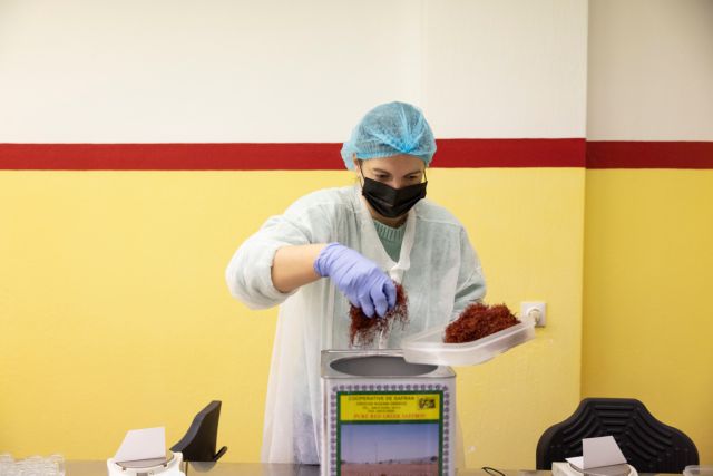 Στερεύει ο «χρυσός» της Κοζάνης-1