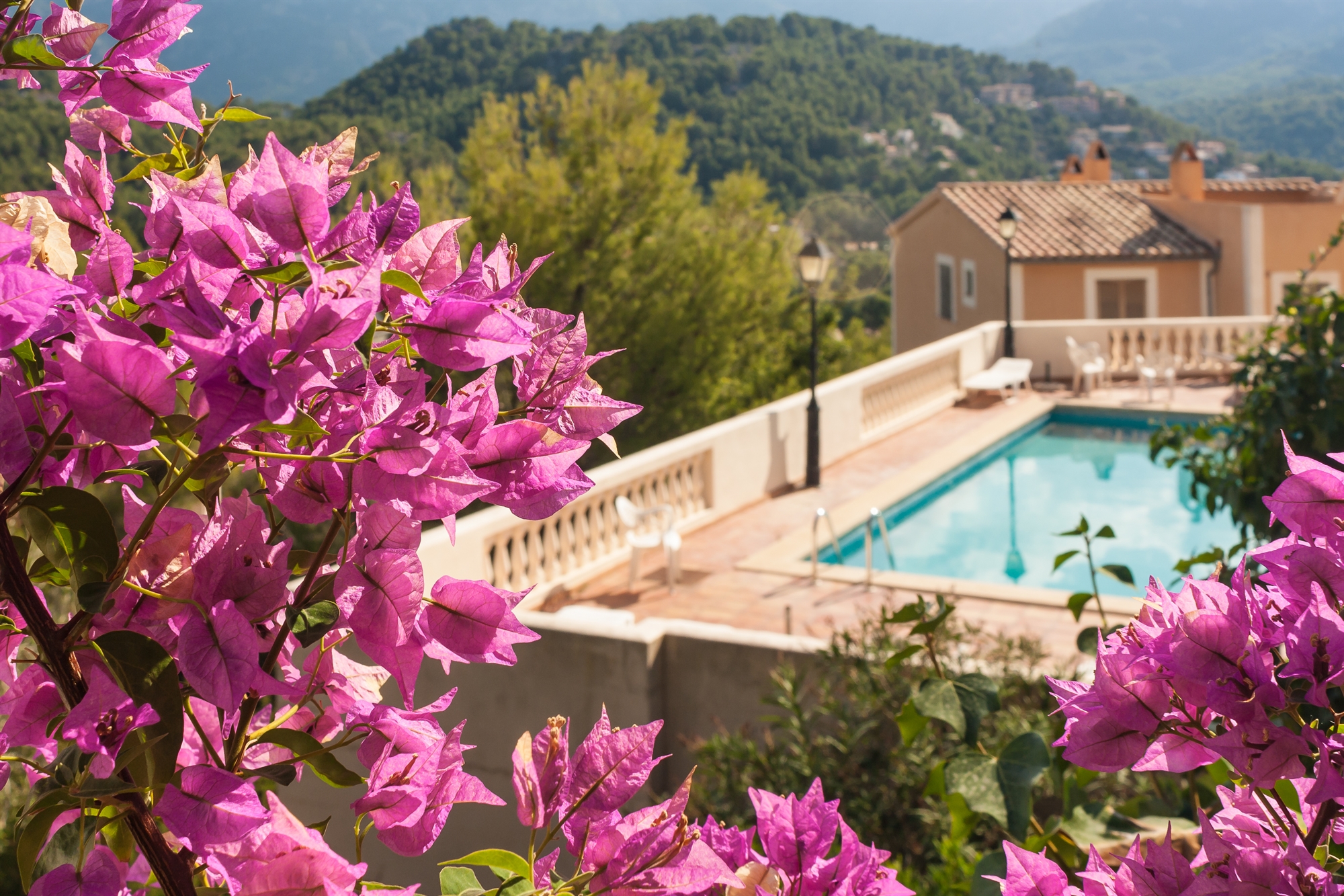 πολυτελή-αυθαίρετα-σε-δημοφιλείς-προ-562124956