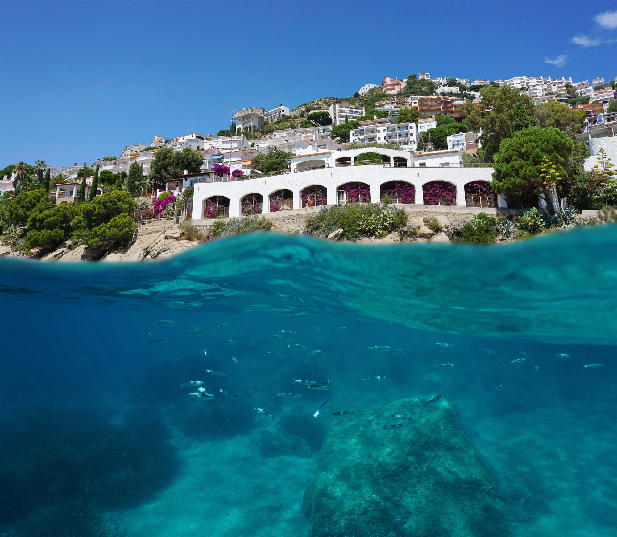 η-υπερθέρμανση-φουσκώνει-τη-μεσόγε-562137175