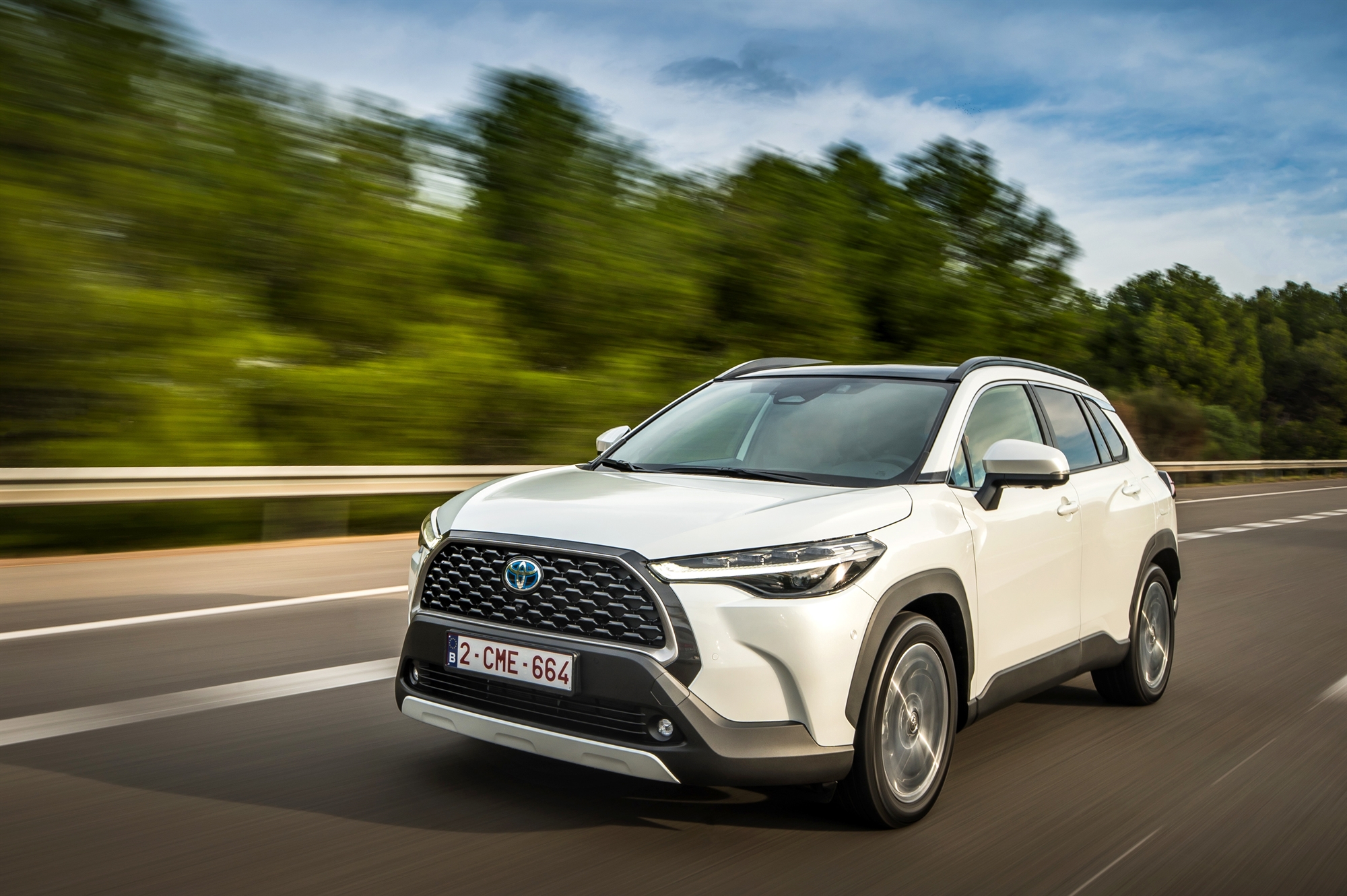 οικογενειακό-πρακτικό-και-πρωτοπόρο-562134340