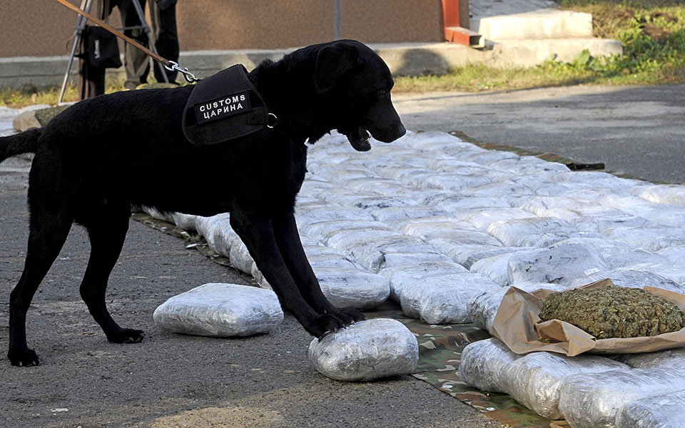 κυκλώματα-με-drones-και-κρυπτονομίσματα-απ-562148155