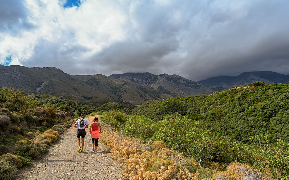 ένας-γάλλος-ανακαλύπτει-τα-μονοπάτια-562121476