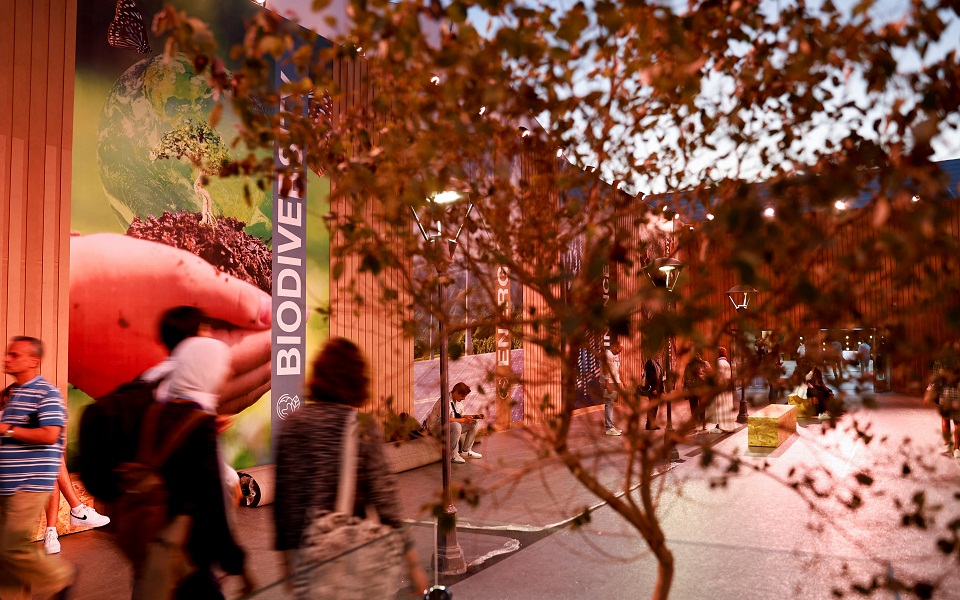 cop27-οι-κρίσεις-θα-περάσουν-η-κλιματική-απ-562126471