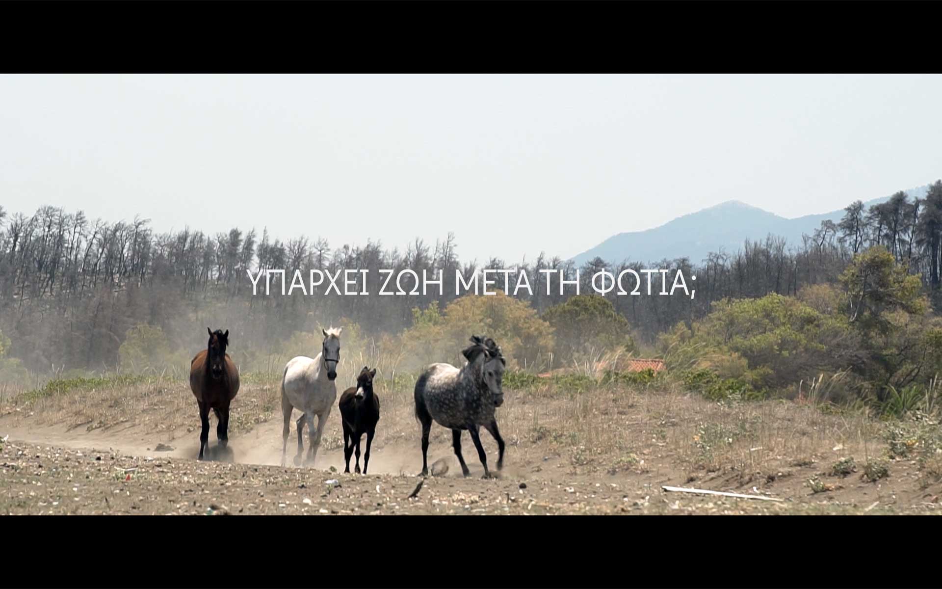 ένα-οδοιπορικό-στη-βόρεια-εύβοια-με-τη-562132948