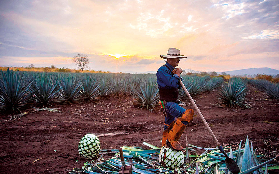 2-συνταγές-για-κοκτέιλ-μαργαρίτα-που-θα-562142137