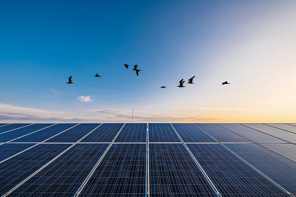 MYTILINEOS: Πώς ήρθε η επιβράβευση της βιώσιμης στρατηγικής για την ελληνική πολυεθνική-1