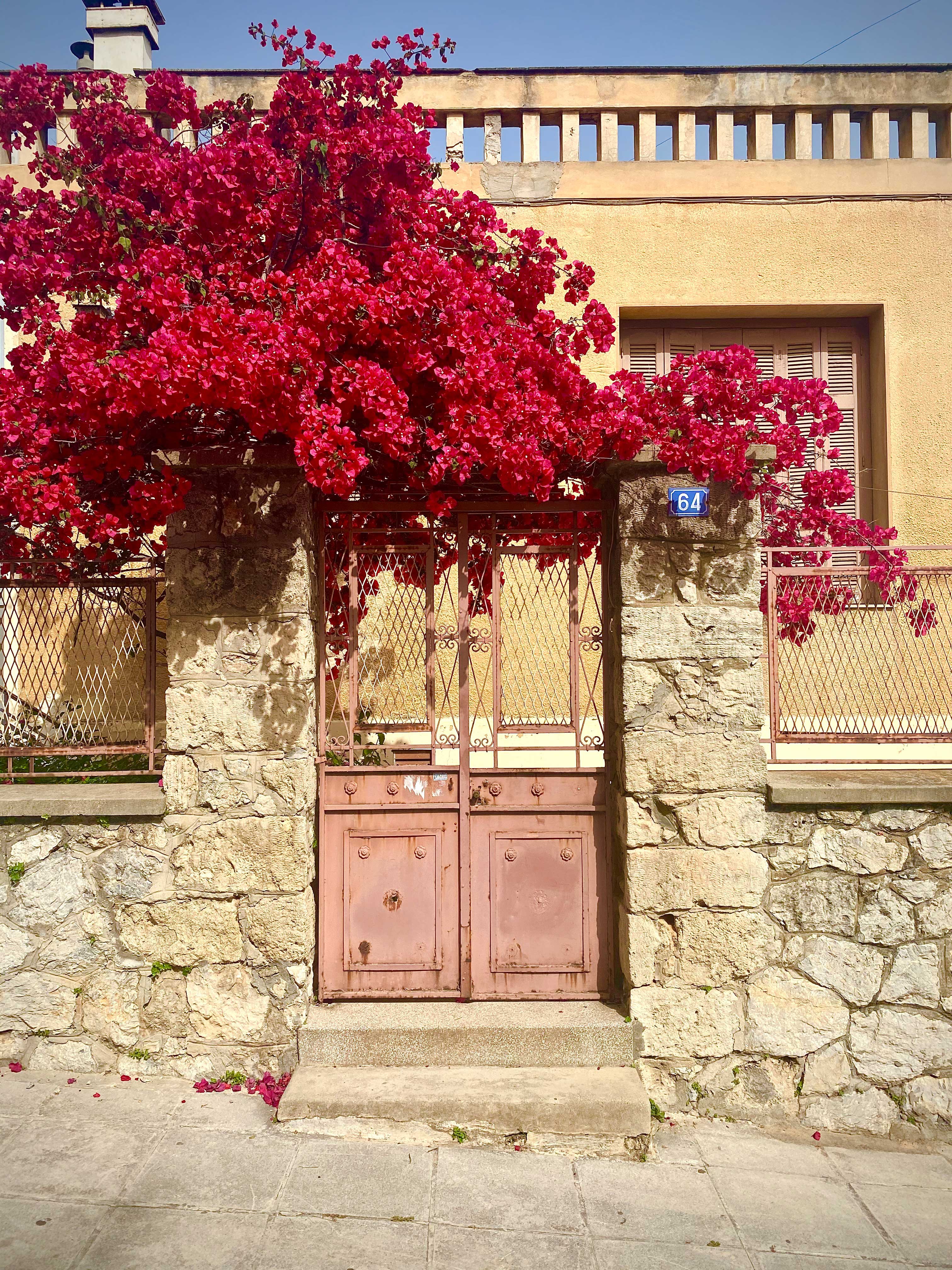 Doors of Athens: Οι πόρτες της Αθήνας στο instagram-4