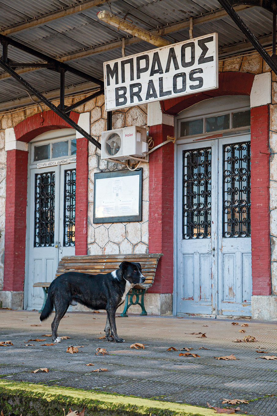 Φαράγγι του Ασωπού: Κυριακάτικη εκδρομή στο μονοπάτι των σιδηροδρομικών-4