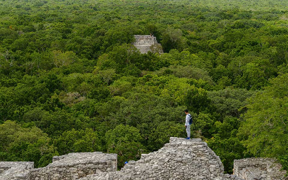 Μεξικό: Τα τζάγκουαρ επιστρέφουν-1
