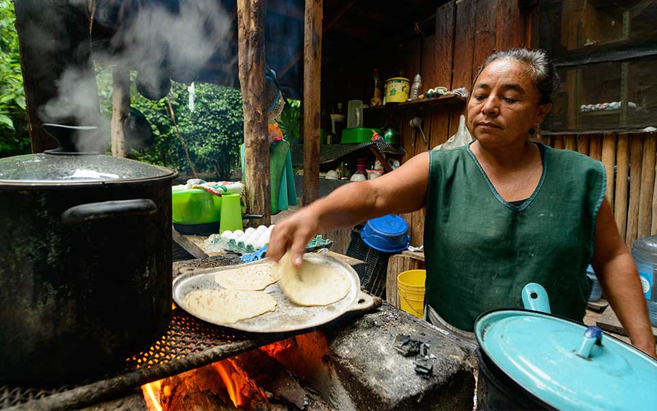 Μεξικό: Τα τζάγκουαρ επιστρέφουν-7