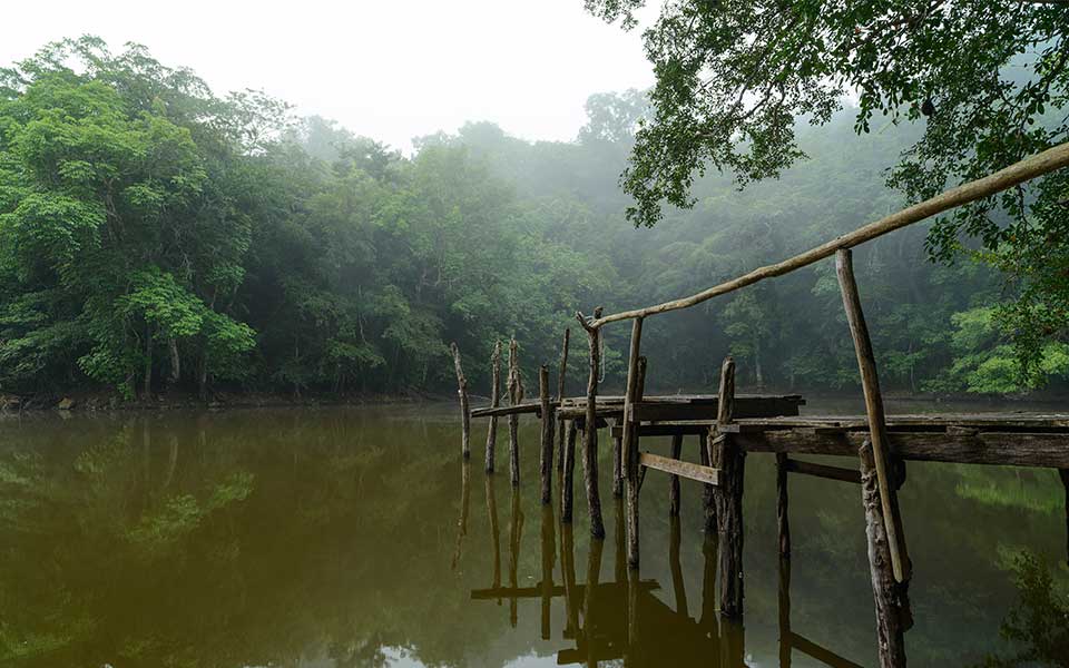 Μεξικό: Τα τζάγκουαρ επιστρέφουν-6