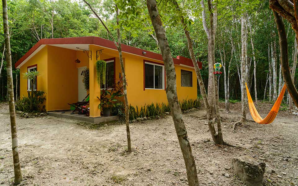 Μεξικό: Τα τζάγκουαρ επιστρέφουν-5