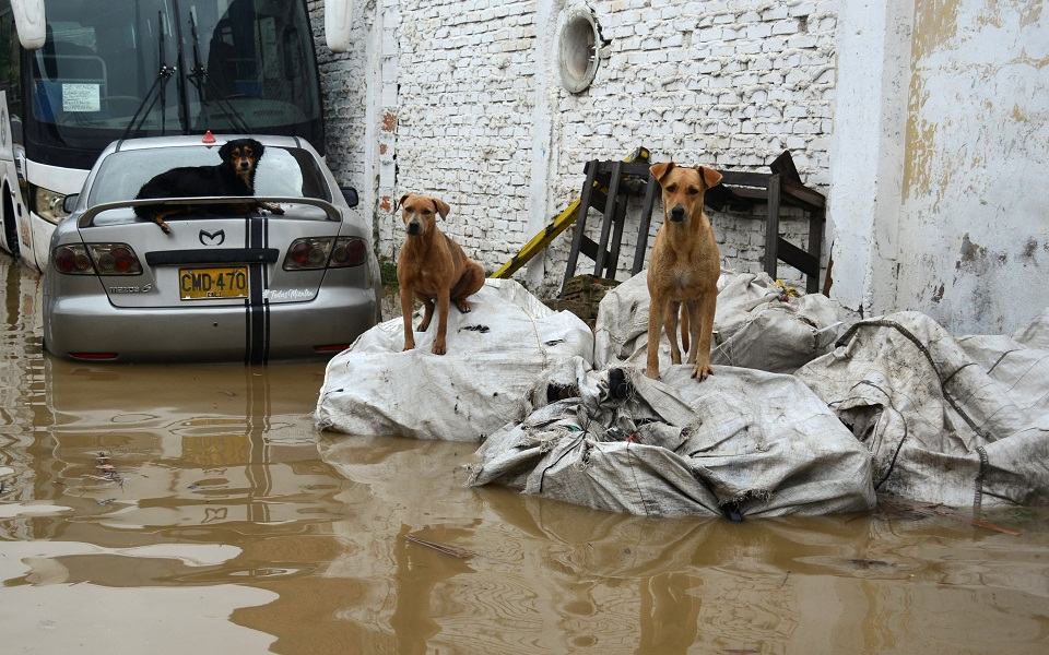 κολομβία-271-νεκροί-από-πλημμύρες-μέσα-σ-562143385