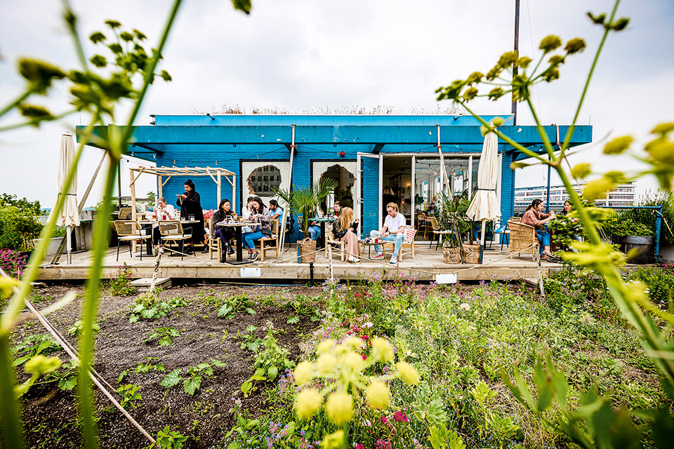Ρότερνταμ, αντισυμβατικό και πρωτοπόρο-12