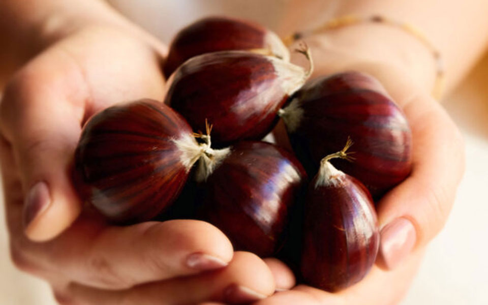 κάστανα-μια-σύντομη-ιστορία-και-18-μονα-562138642