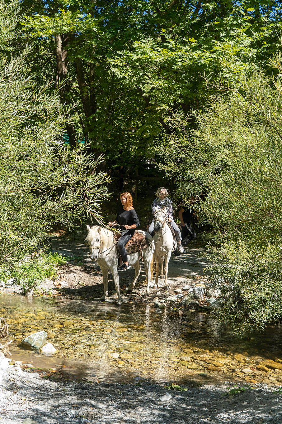 Κυνηγοί μανιταριών στην ορεινή Αχαΐα-10