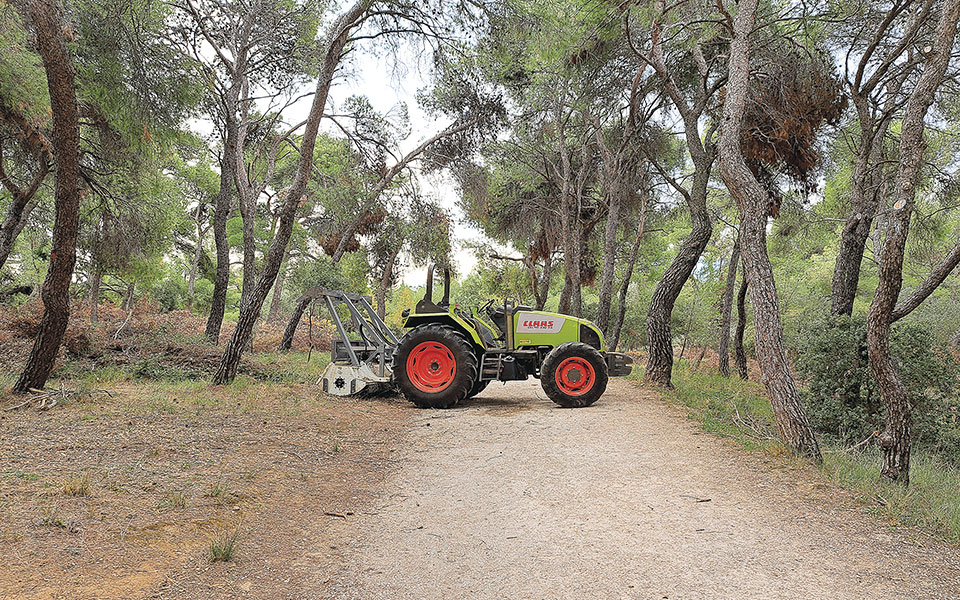 καταγγέλλουν-καταστροφές-στο-δάσος-σ-562157446