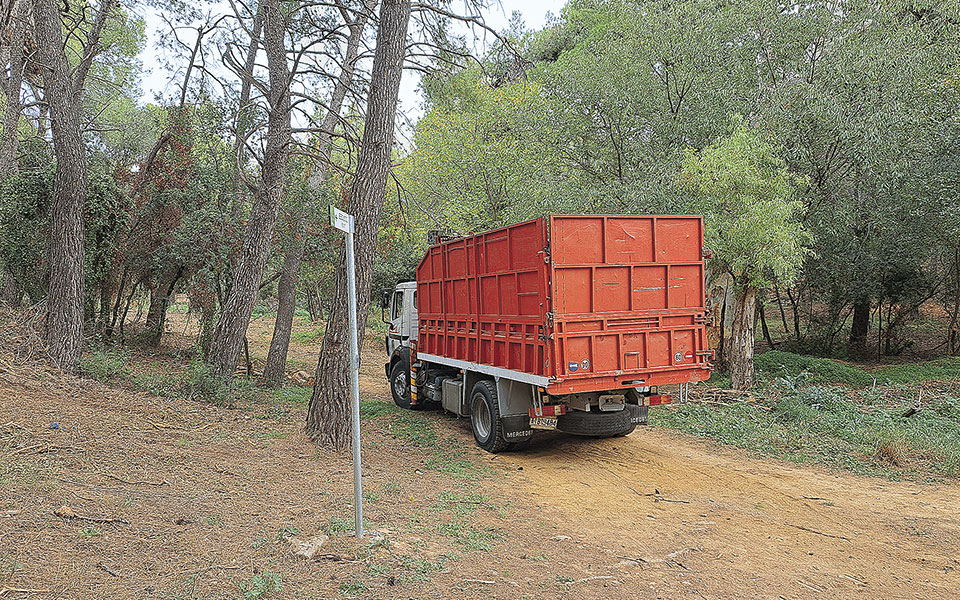 Καταγγέλλουν καταστροφές στο Δάσος Συγγρού-1