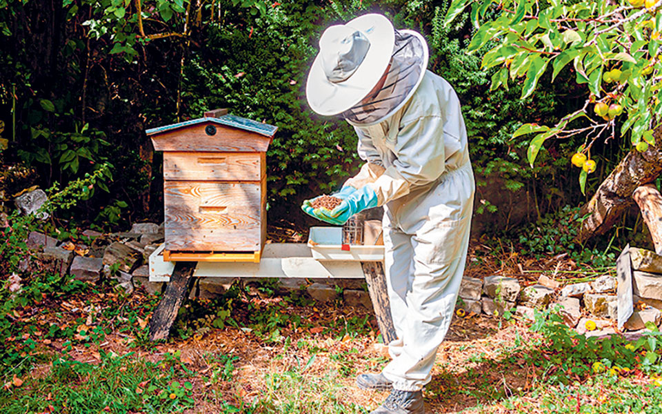 κι-ύστερα-φύγαν-οι-μέλισσες-562160653