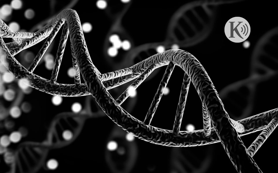 ράδιο-κ-στόχος-μας-η-κατάργηση-του-θα-562136869