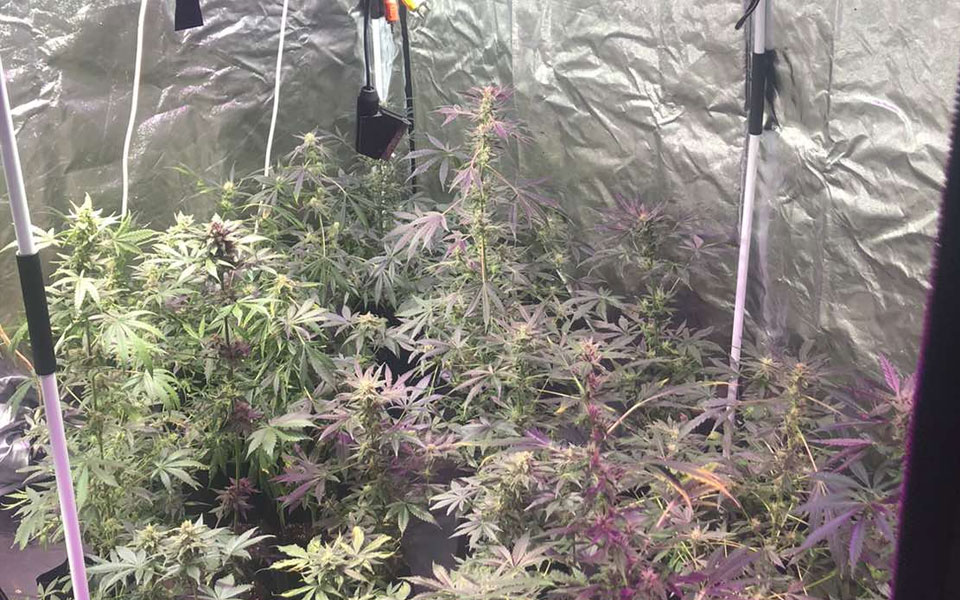 θεσσαλονίκη-χειροπέδες-σε-33χρονο-για-υ-562137949