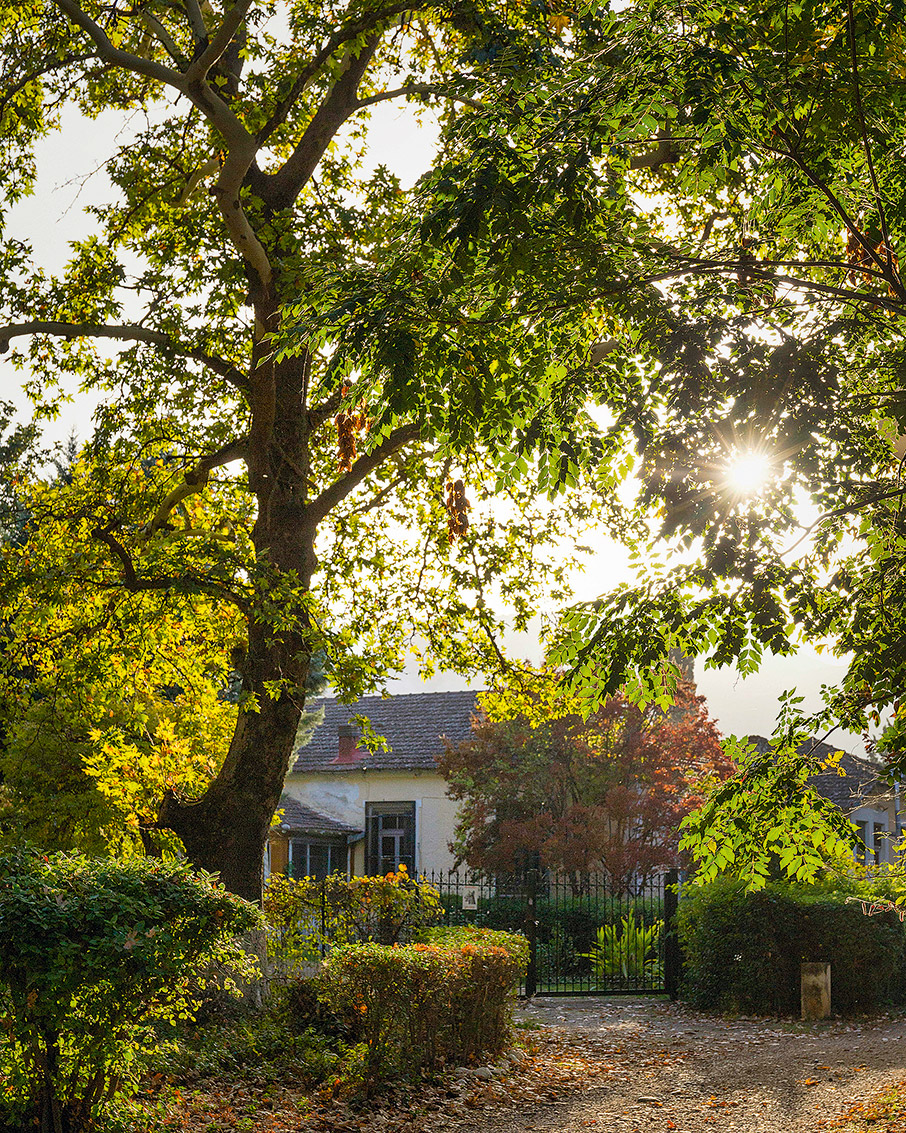 Βοιωτία: Το πιο αναπάντεχο weekend πολιτισμού-6