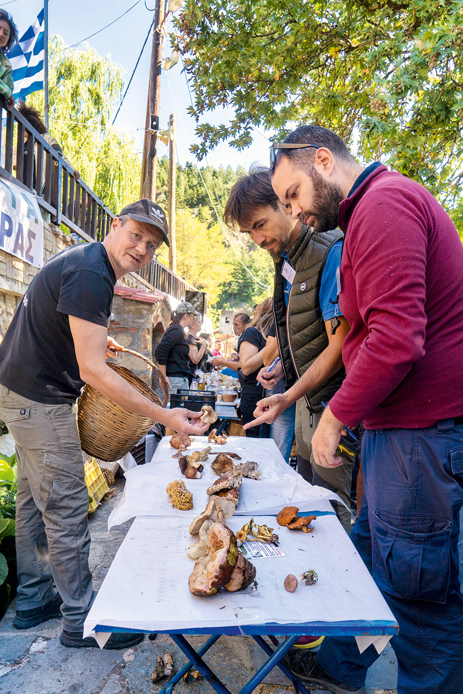 Κυνηγοί μανιταριών στην ορεινή Αχαΐα-4