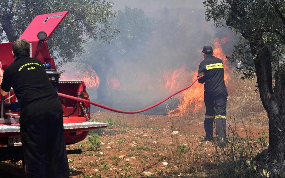 μία-νεκρή-από-φωτιά-σε-λιοστάσι-στην-ηλ-562121314