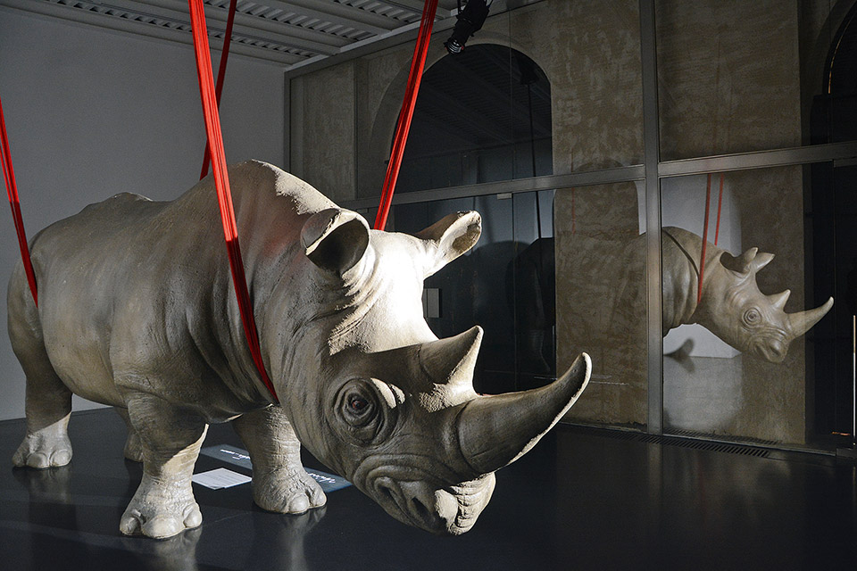 Στη Ρώμη οι απολαύσεις δεν έχουν εποχή-1