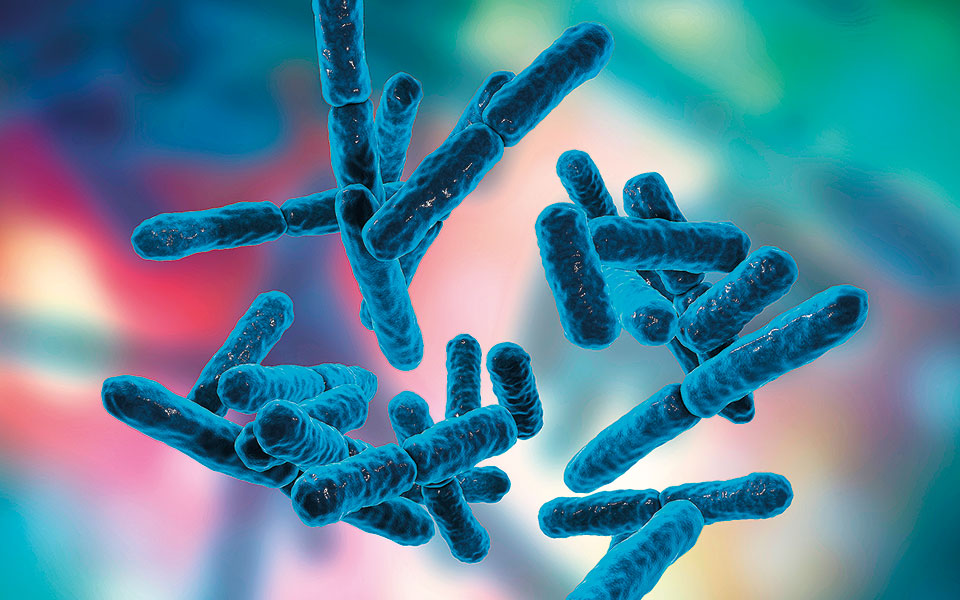η-καλή-πλευρά-των-βακτηρίων-562130599