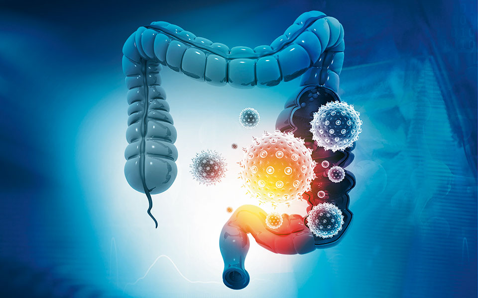 eντερο-πώς-το-μικροβίωμα-μπορεί-να-βελτ-562130068
