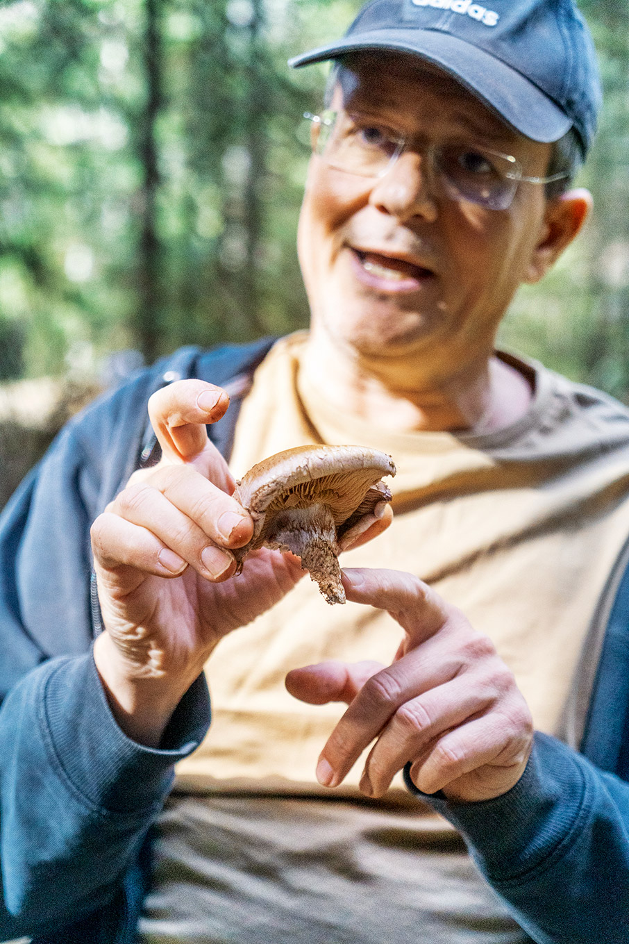 Κυνηγοί μανιταριών στην ορεινή Αχαΐα-2