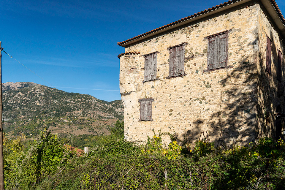 Κυνηγοί μανιταριών στην ορεινή Αχαΐα-16