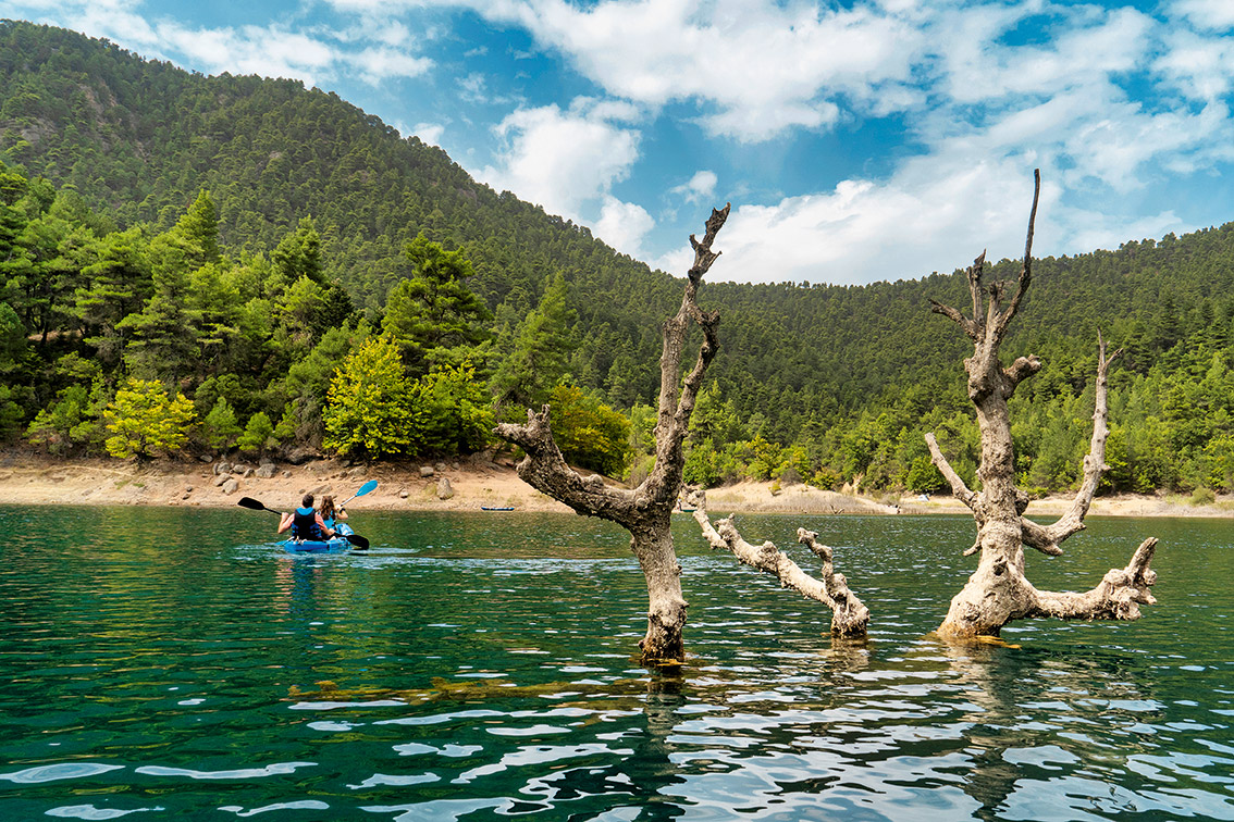 Κυνηγοί μανιταριών στην ορεινή Αχαΐα-18