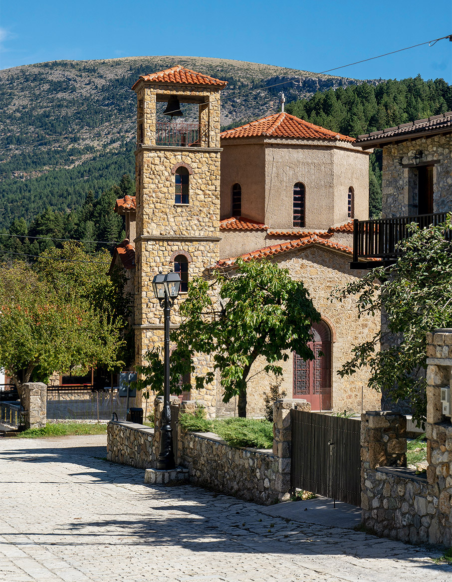 Κυνηγοί μανιταριών στην ορεινή Αχαΐα-6